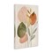 Stupell Industries Soft Organic Shape Botanicals Canvas Wall Art Design by LSR Design Studio
